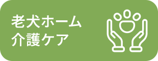 老犬ホーム 介護ケア