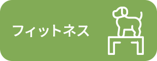 フィットネス