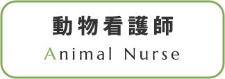 動物看護師