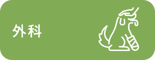 外科