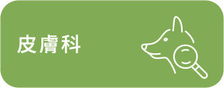 皮膚科